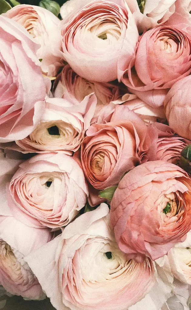 REALITY DESTINATION WEDDINGS